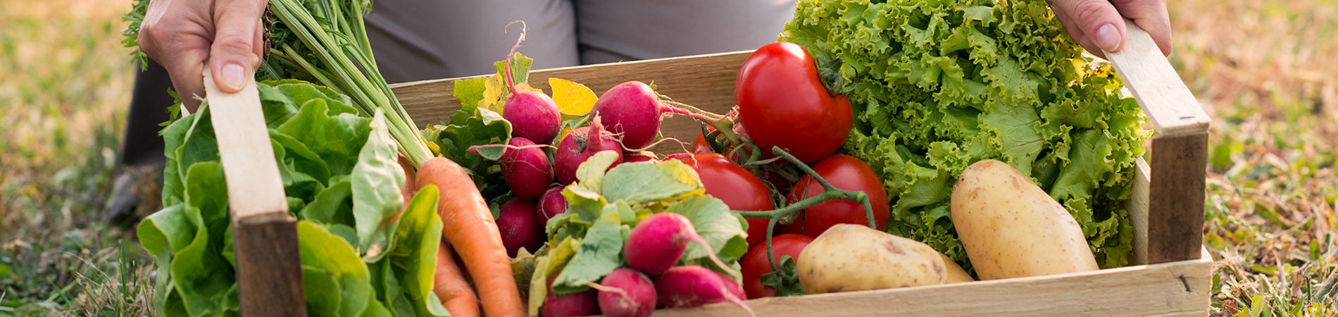 productos de la tierra