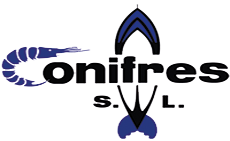 Conifres