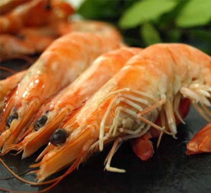 langostinos_salvajes